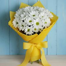 Букет цветов из:  Хризантемы в Раменки