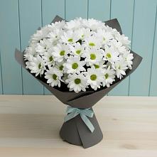 Букет цветов из:  Хризантемы #REPLACE_PRED# Раменки