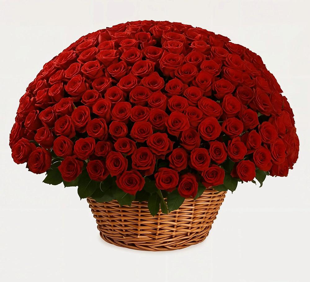 Премиум букет из: Розы в Раменки