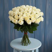 Букет 51 Белая роза Эдлесс Лав #REPLACE_PRED# Раменки
