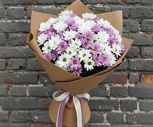 Букет цветов из:  Хризантемы в Раменки