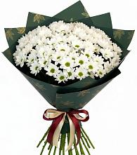 Букет цветов из:  Хризантемы в Раменки