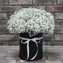 Цветочная композиция из Гипсофила в шляпной коробке в Раменки