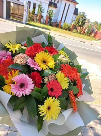 Букет цветов из: Герберы в Раменки
